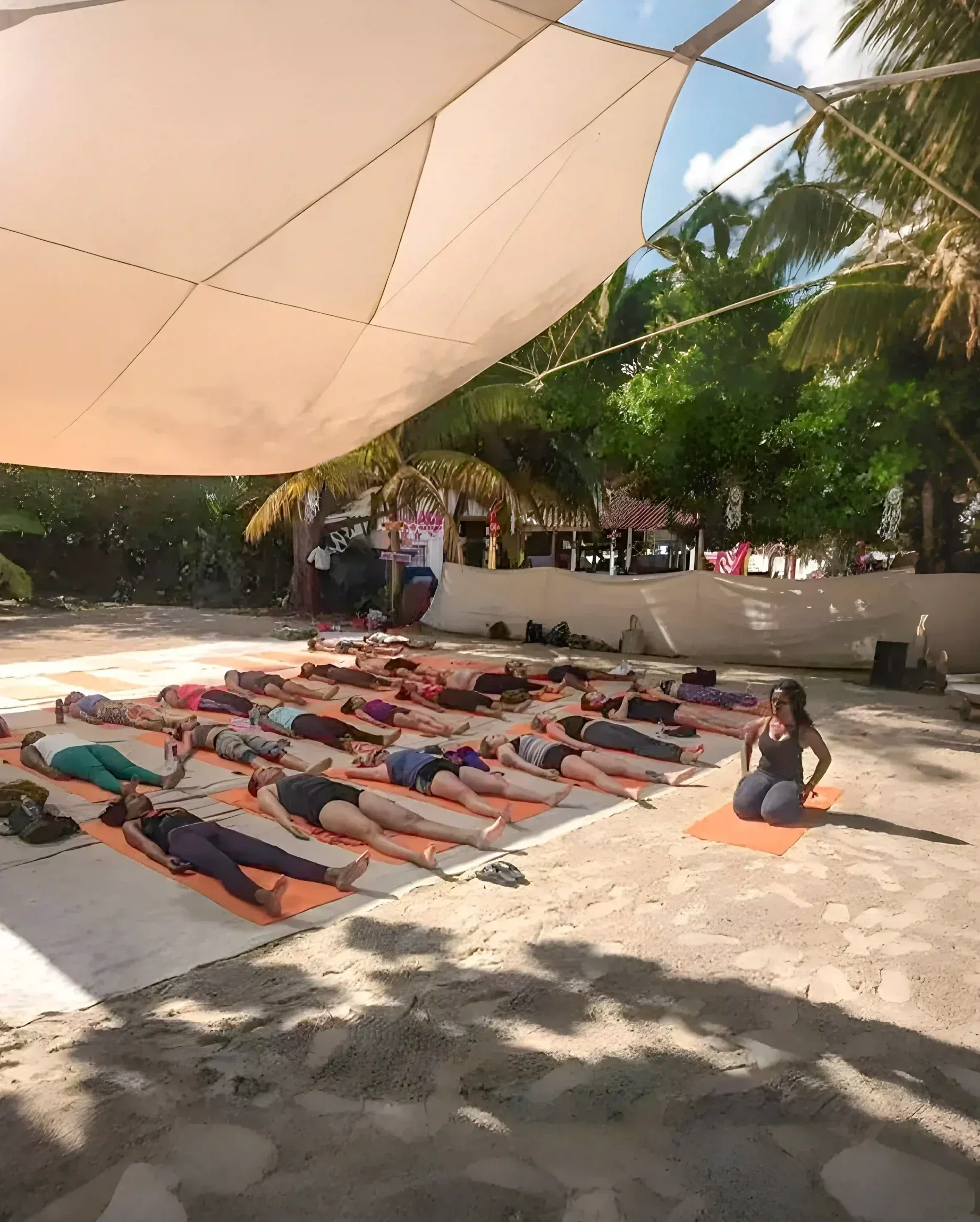 A class resting on the sand under the shade sail at the Oasis